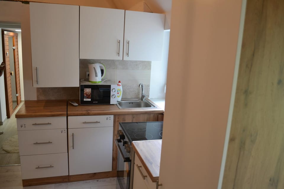 Coffee/tea facilities, Kitchen or kitchenette, minibar, pet friendly, stove