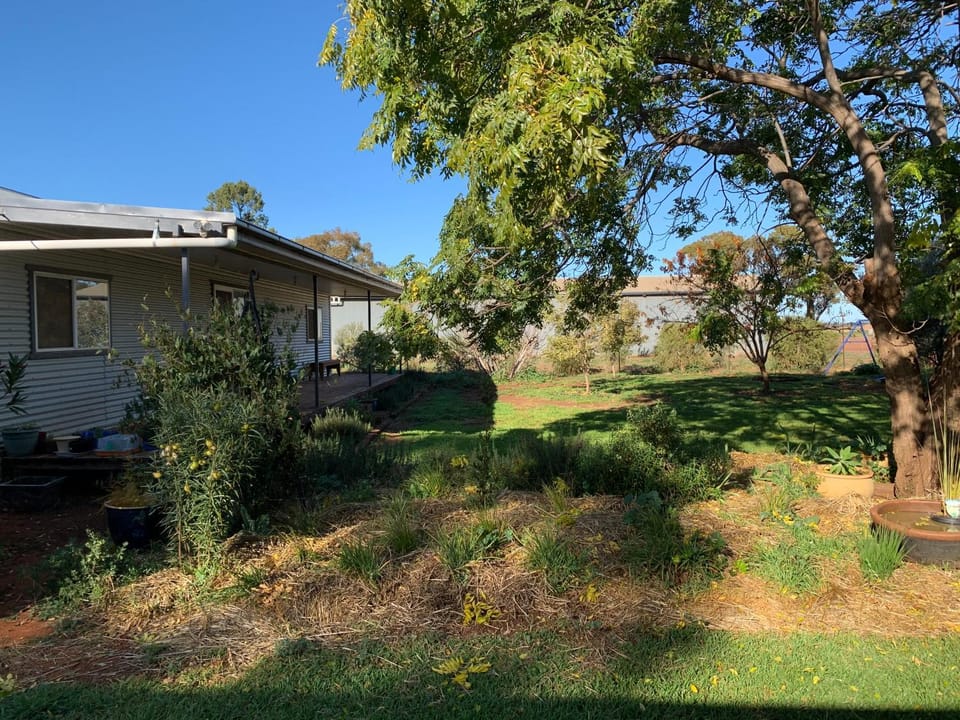 Mascot Cottage - Pet Friendly and Complimentary Breakfast Hamper Bed and Breakfast in West Wyalong
