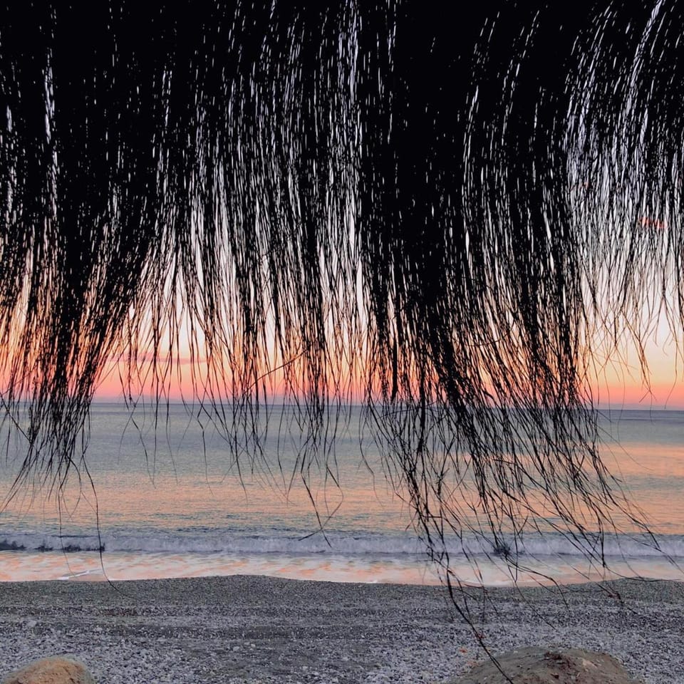 Natural landscape, Decorative detail, Beach