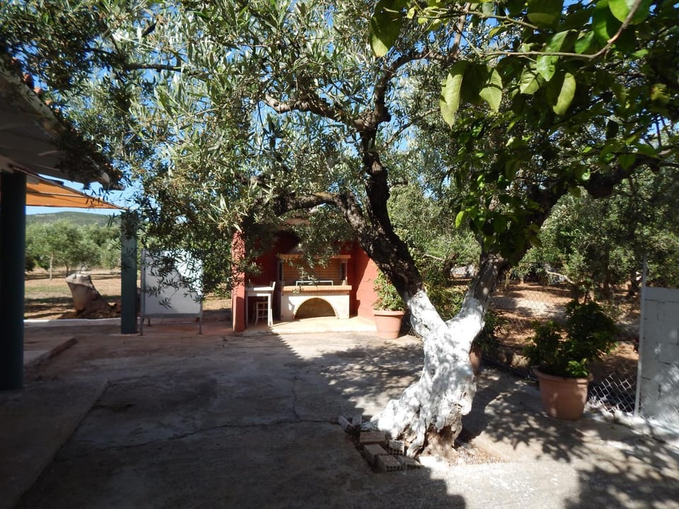 BBQ facilities