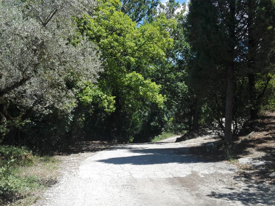 Property building, Natural landscape