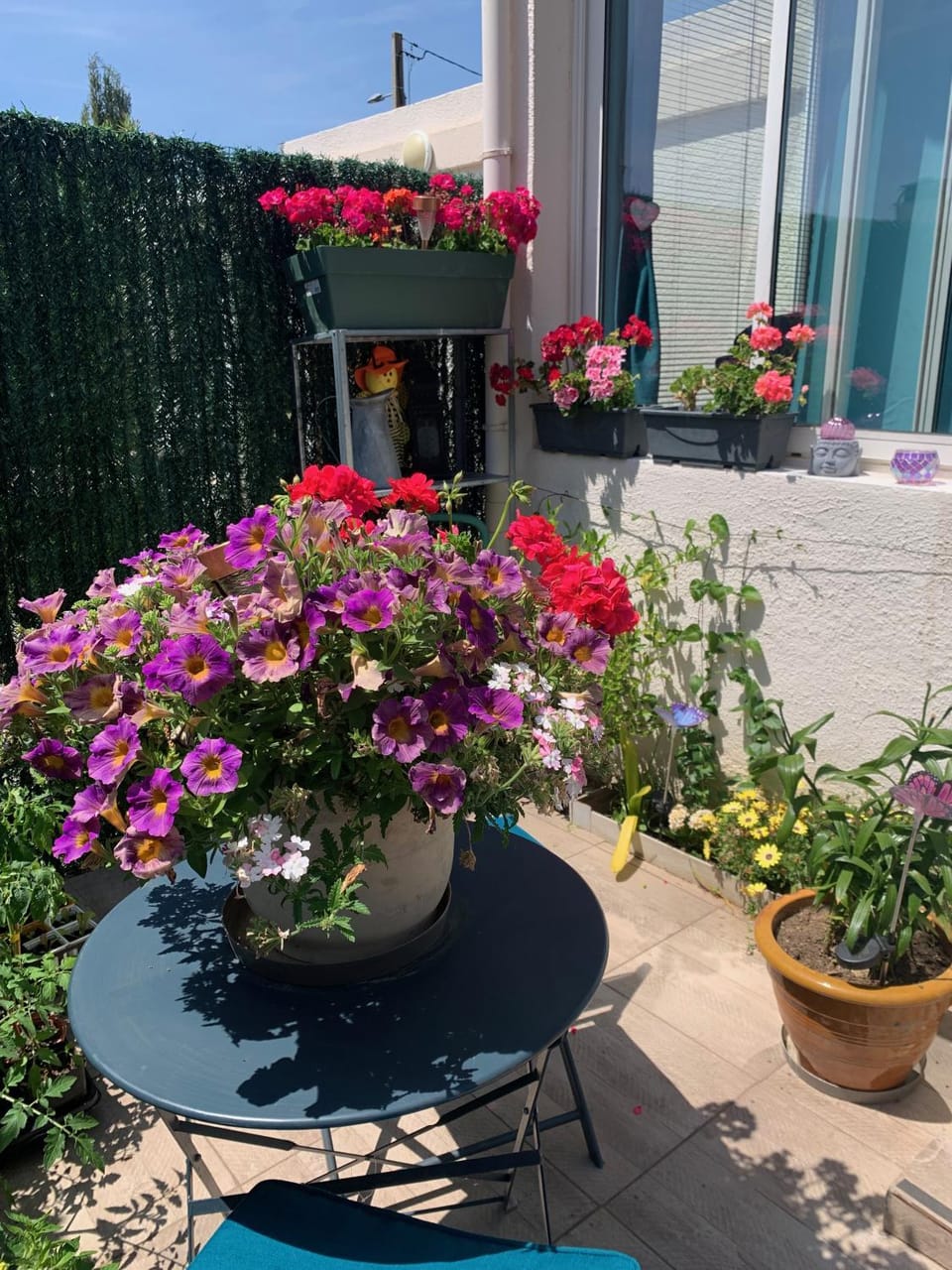 Patio