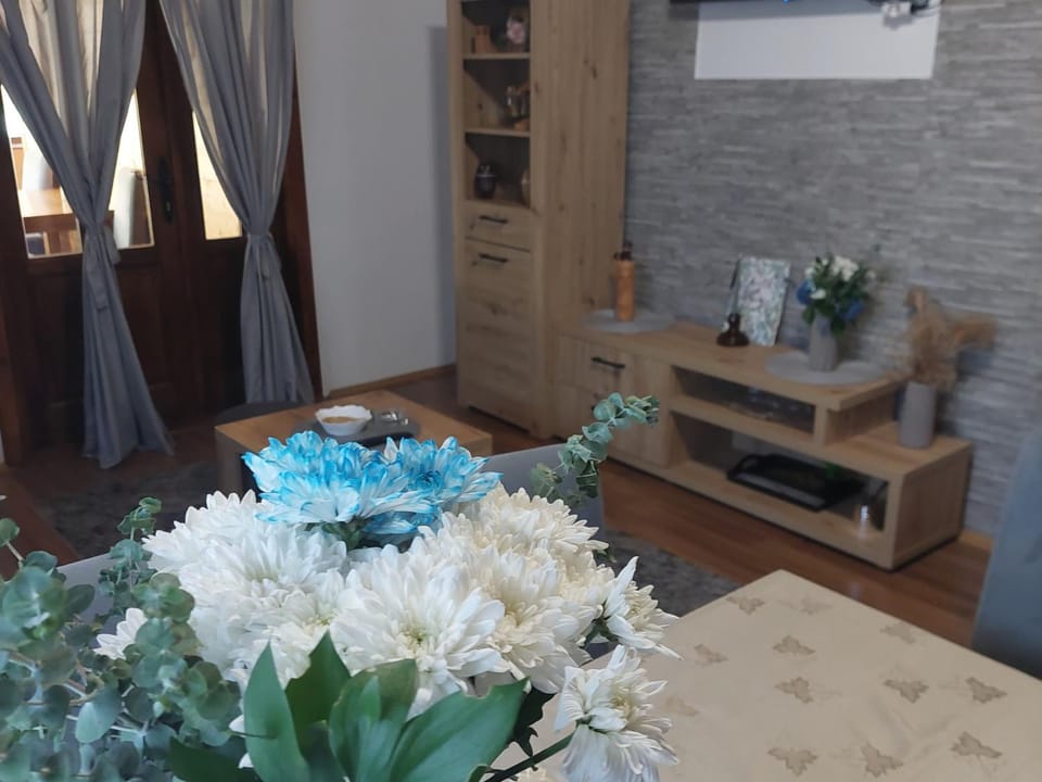 Brvnara Sofiana House in Zlatibor District, Serbia