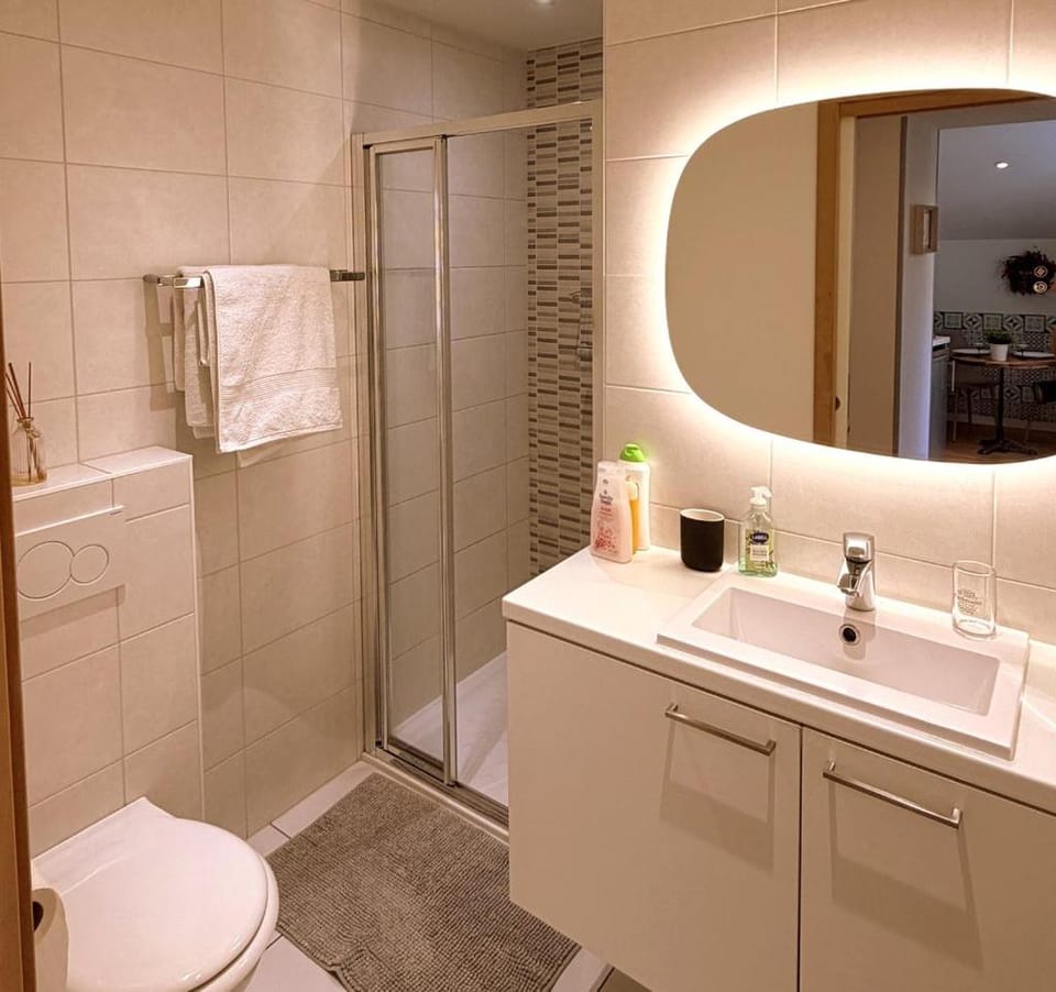 Le Studio Stanislas Apartment in Colmar