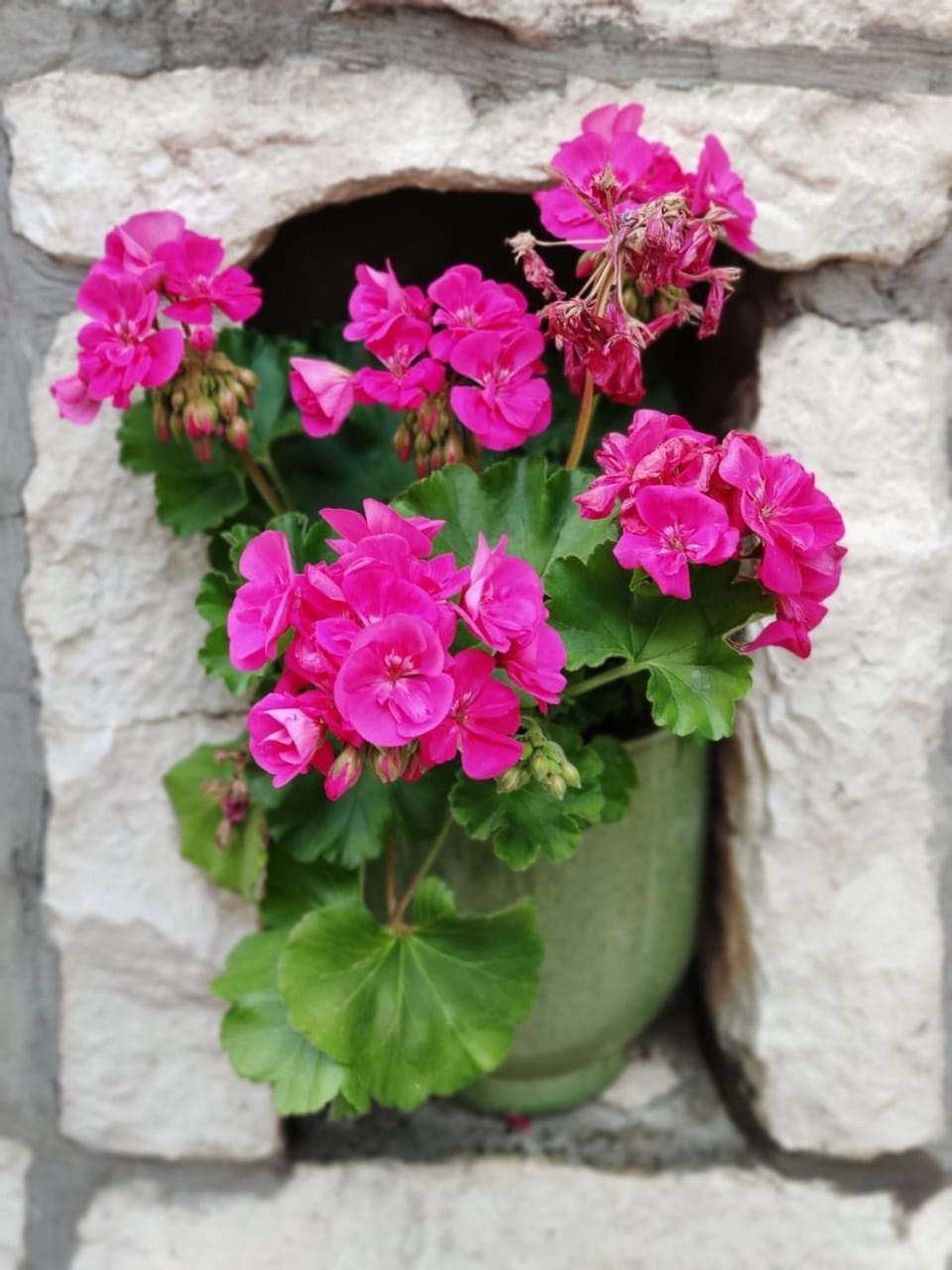 Decorative detail