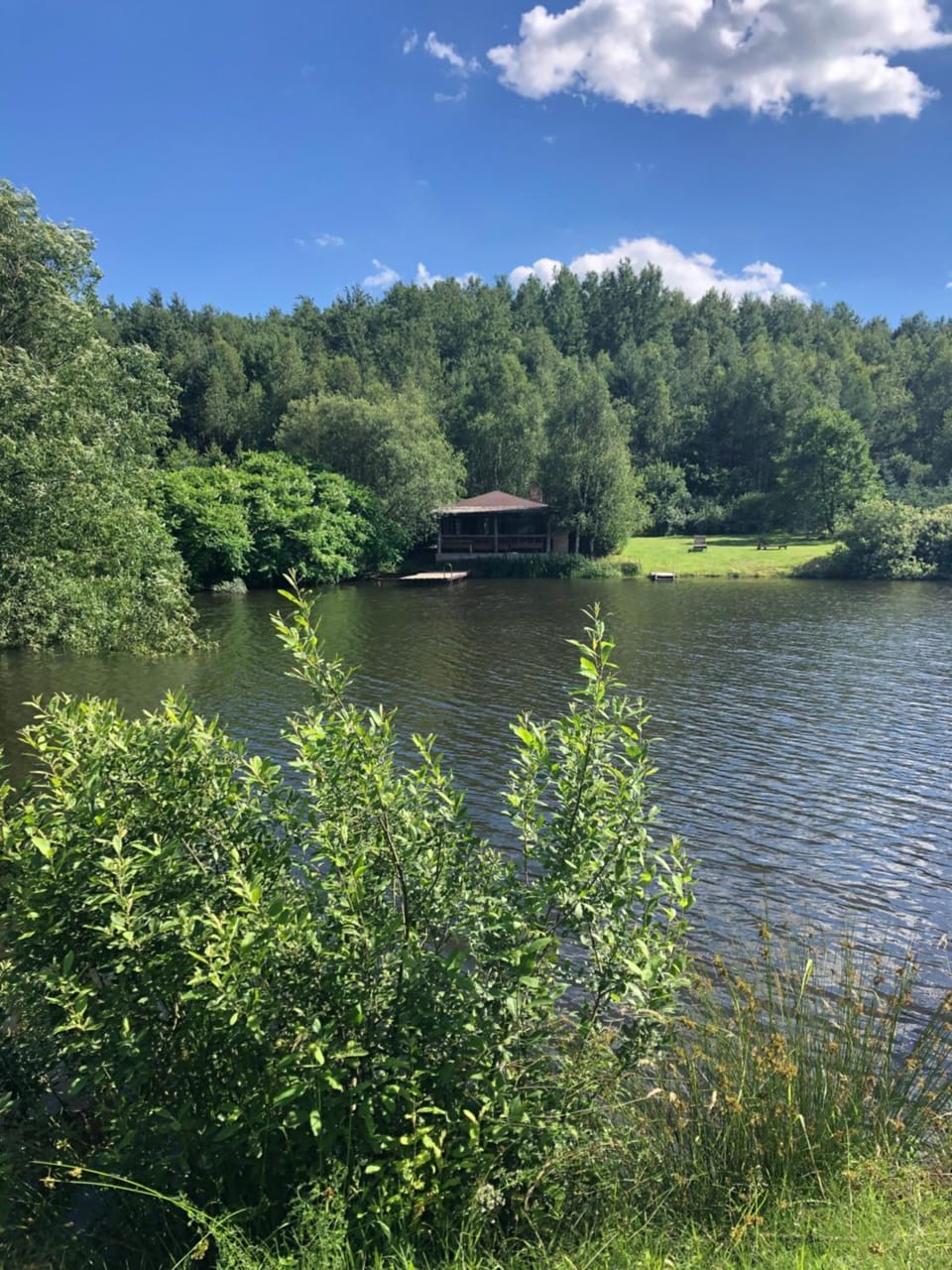 Lake view
