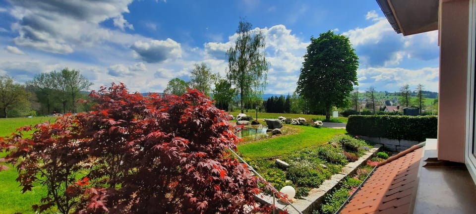 Garden, View (from property/room), Mountain view