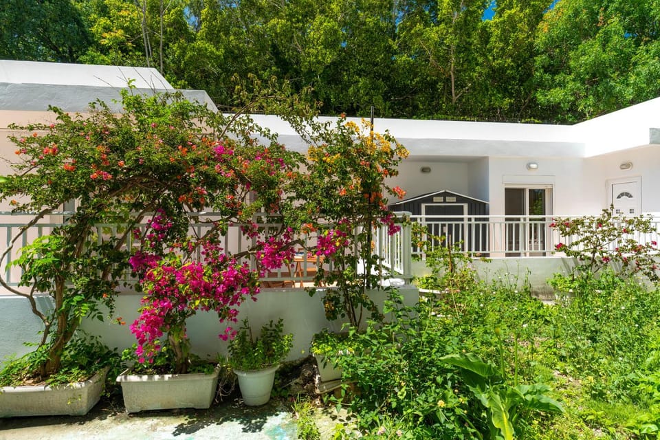 Property building, Day, Garden, Garden view