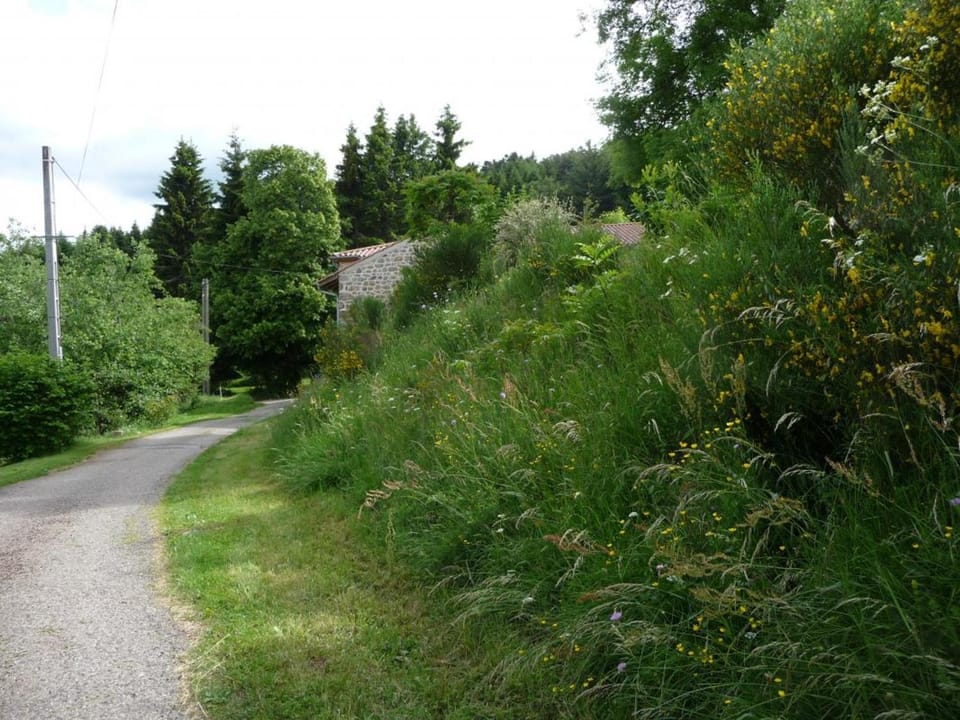 Demeure Forézienne 19e s., Jardin & Animaux admis - FR-1-496-205 House in Auvergne-Rhône-Alpes