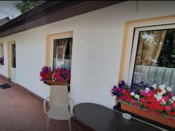 Property building, Patio