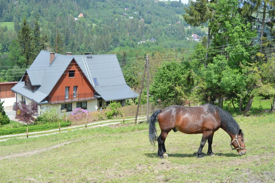 Agroturystyka Skałka Farm Stay in Slovakia