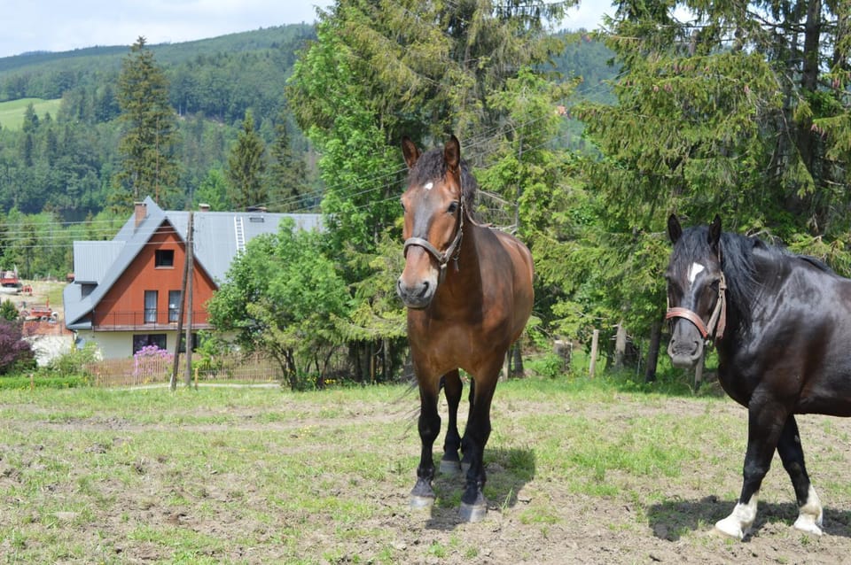 Agroturystyka Skałka Farm Stay in Slovakia