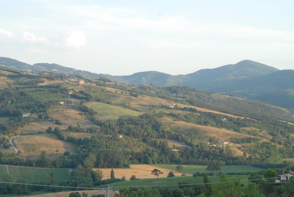 Natural landscape