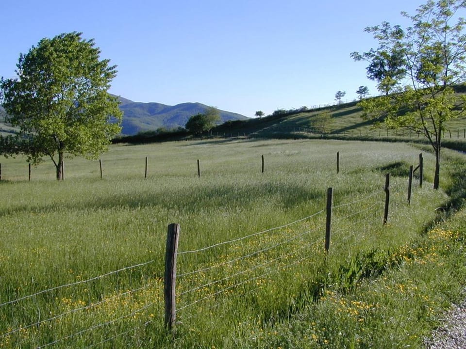 Natural landscape, Other, On site, Area and facilities