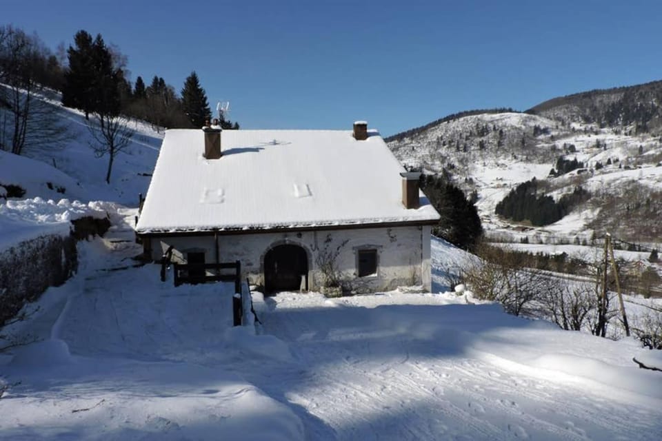 Property building, Winter