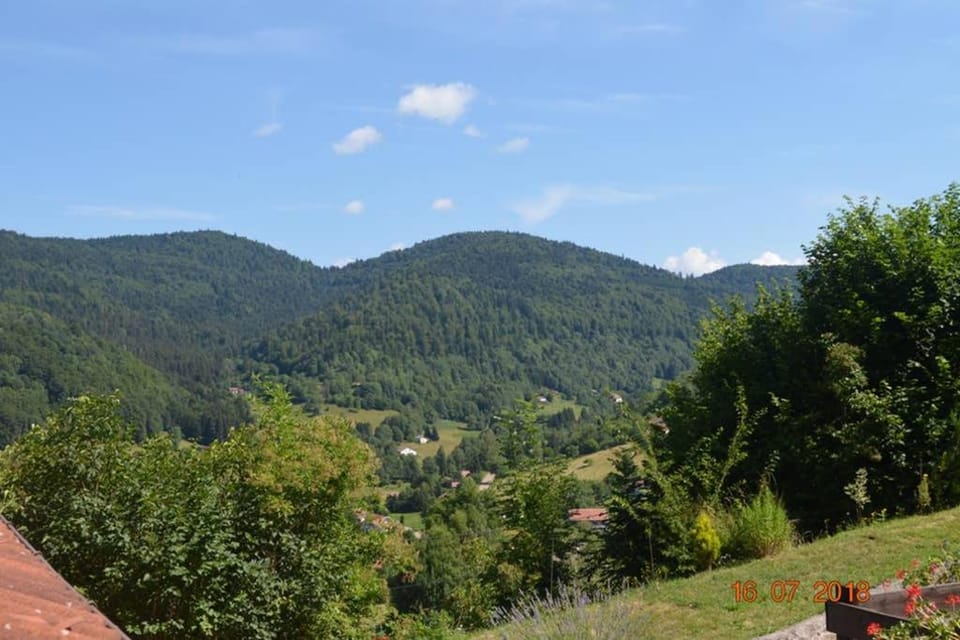 Natural landscape