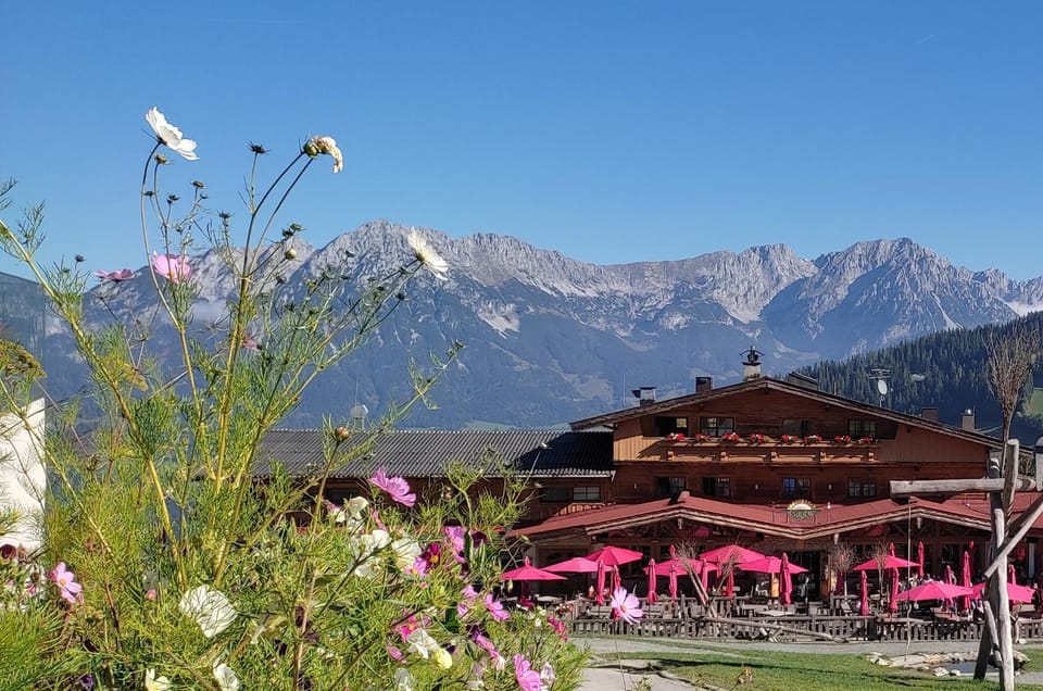 Restaurant/places to eat, Mountain view