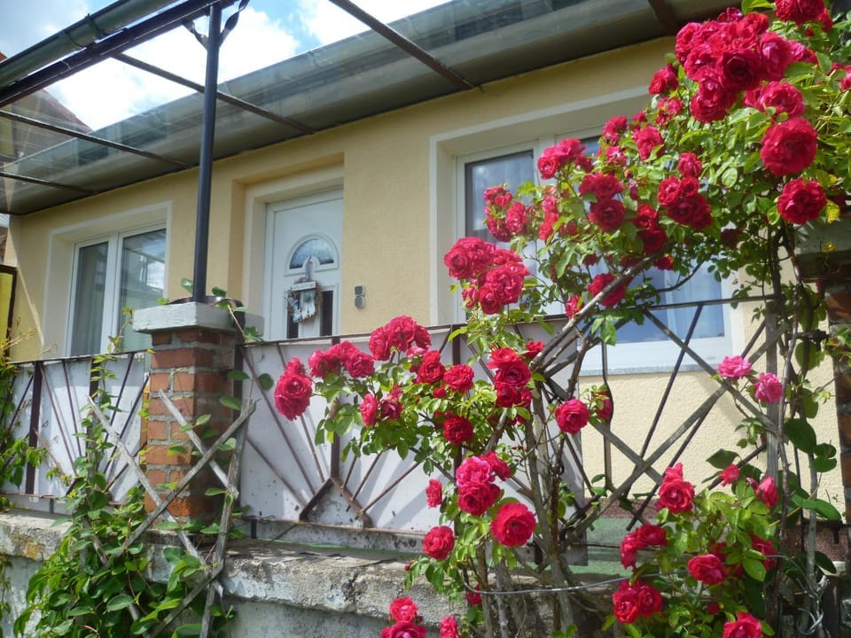 Property building, Facade/entrance, Balcony/Terrace