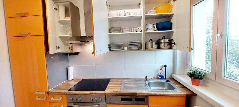 Kitchen or kitchenette, dishwasher, pet friendly, stove, kitchen