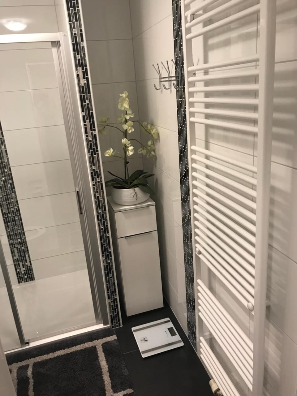 Ferienwohnung Viktoria Apartment in Gotha