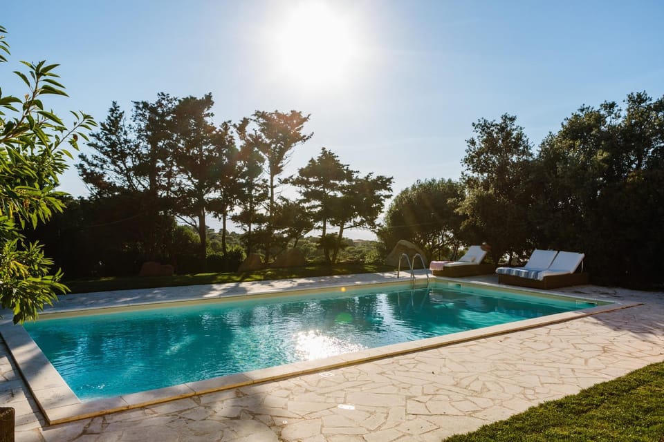 Swimming pool, Swimming pool