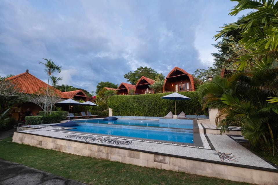 Day, Garden, View (from property/room), Swimming pool