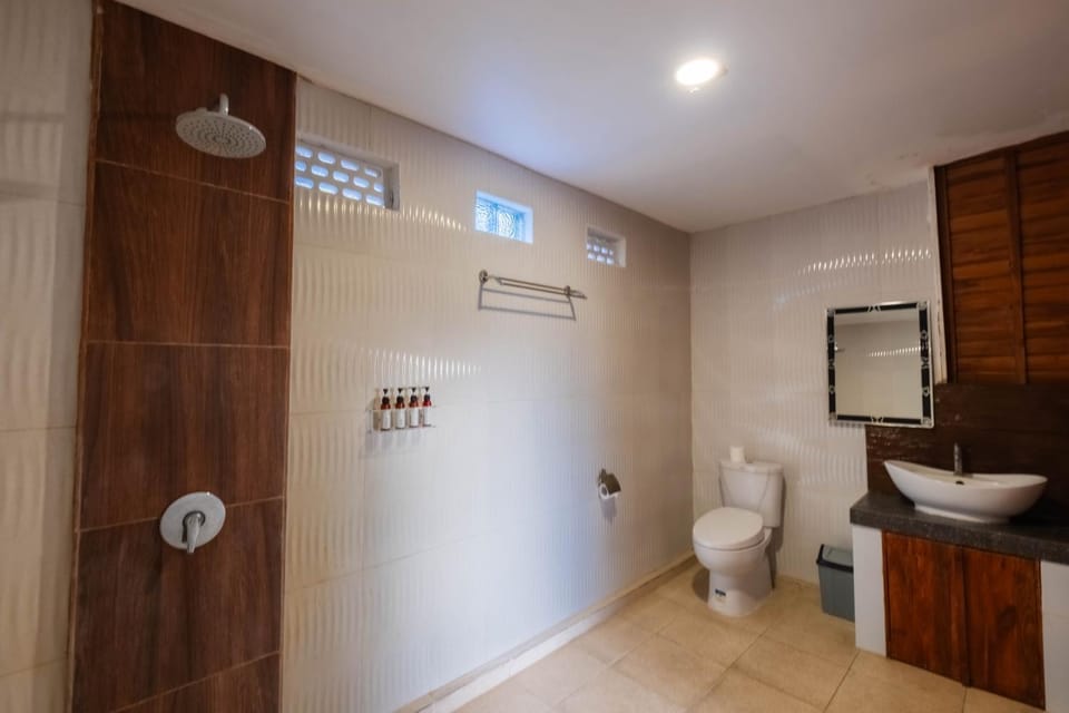 Shower, Toilet, Bathroom, bidet