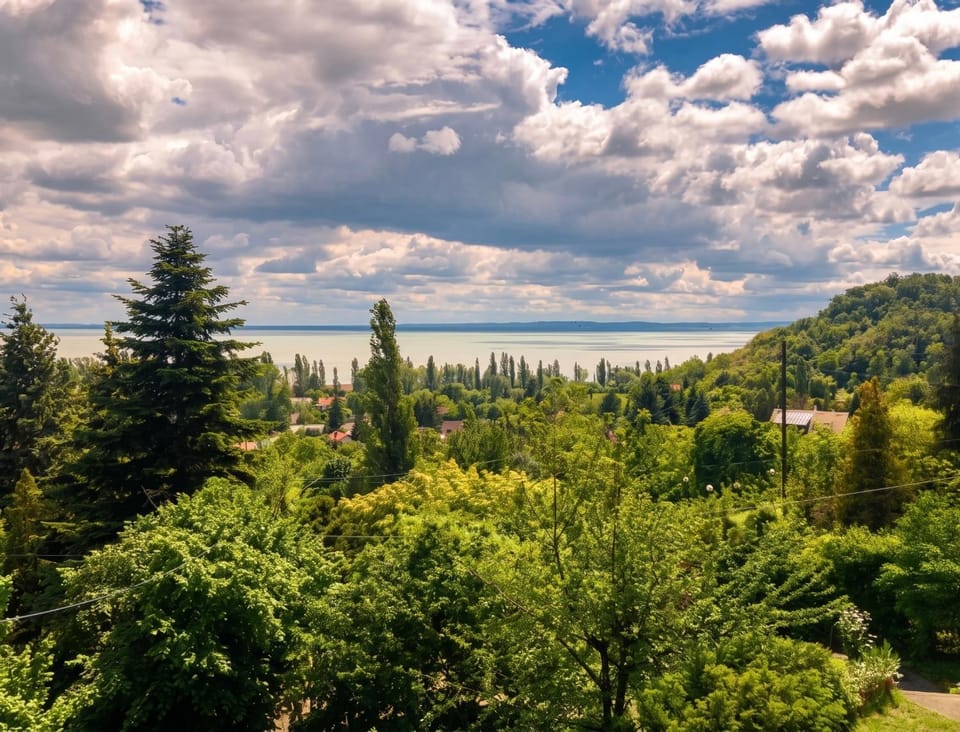 Lake view