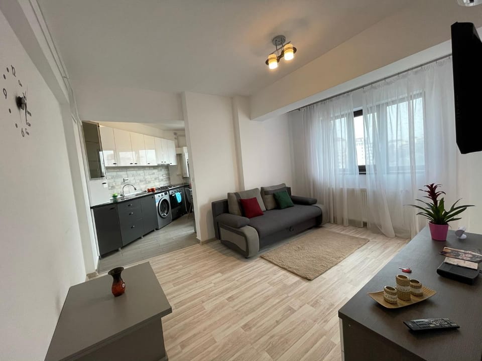 Renting Solutions Tudor Apartment in Romania