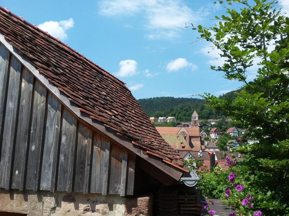 Nearby landmark, Neighbourhood, Natural landscape, BBQ facilities, Balcony/Terrace