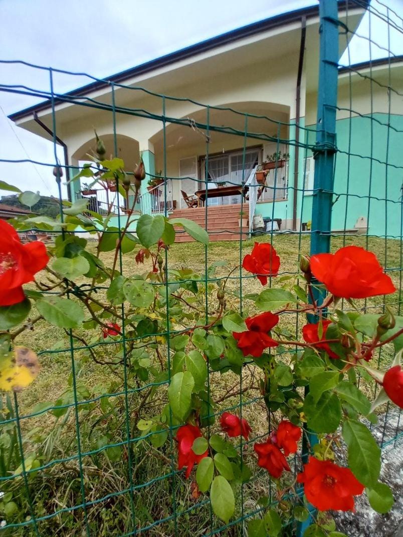 Property building, Spring, Day, Garden, Garden view