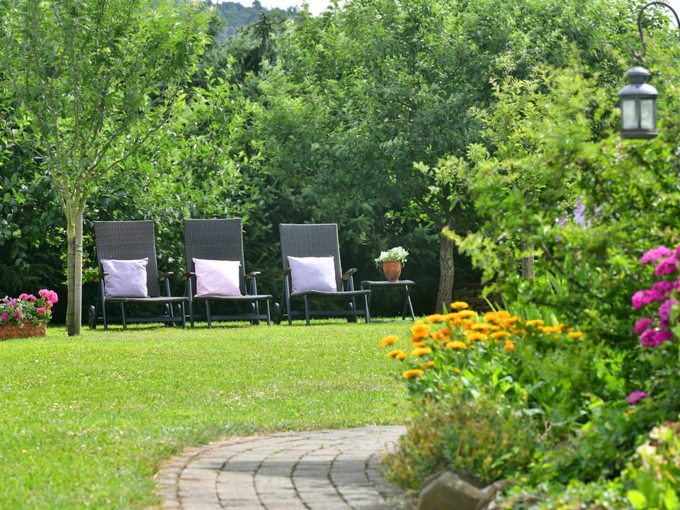 Patio, Garden