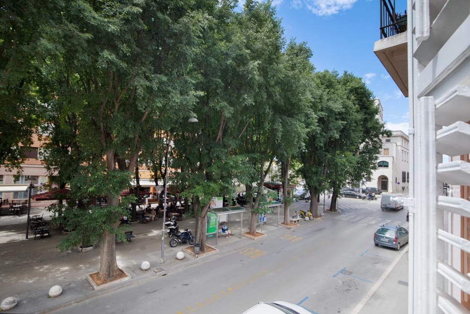 City view, Street view