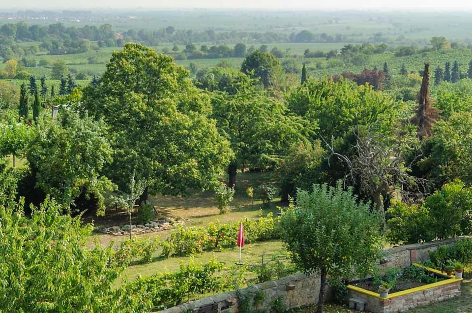 Natural landscape