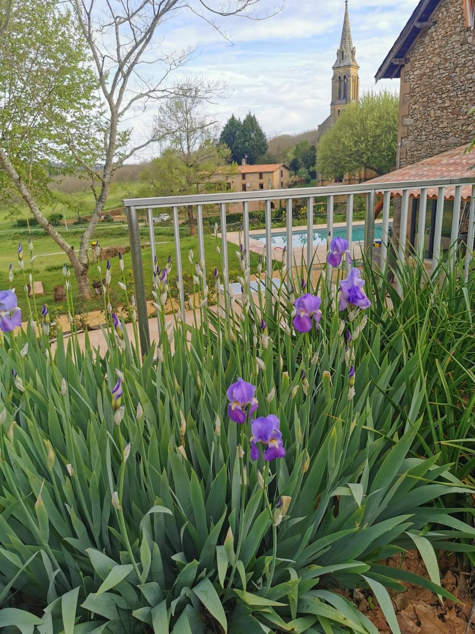 Manoir Vaillant Gîte au cœur du Périgord noir House in Occitanie