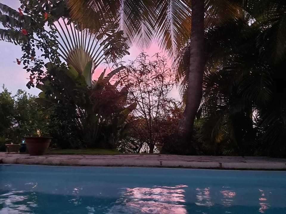 Garden, Swimming pool