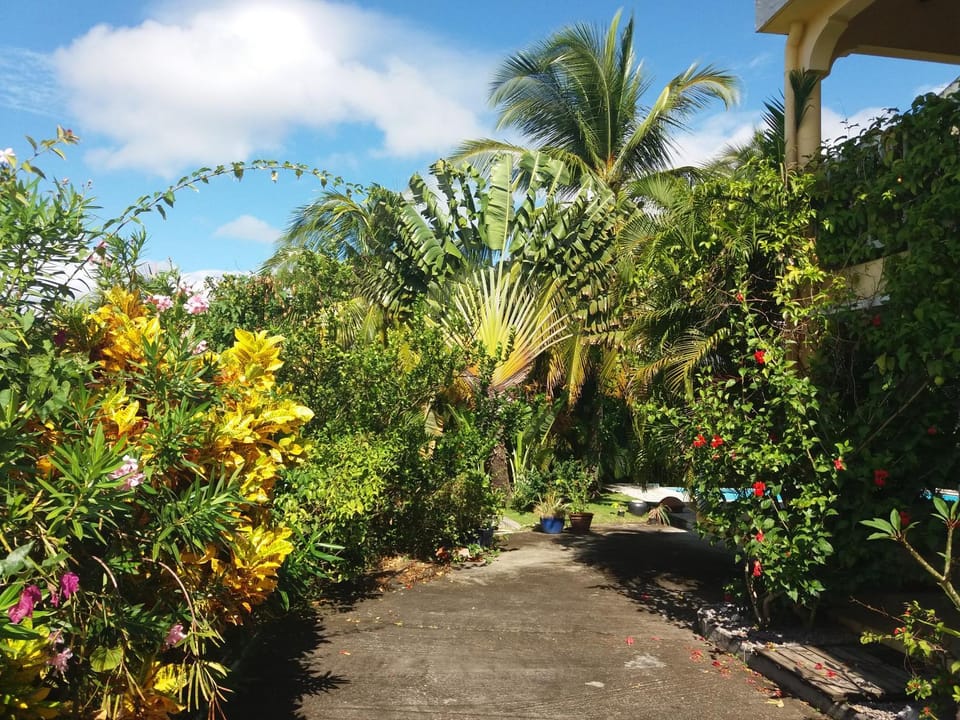 Garden view