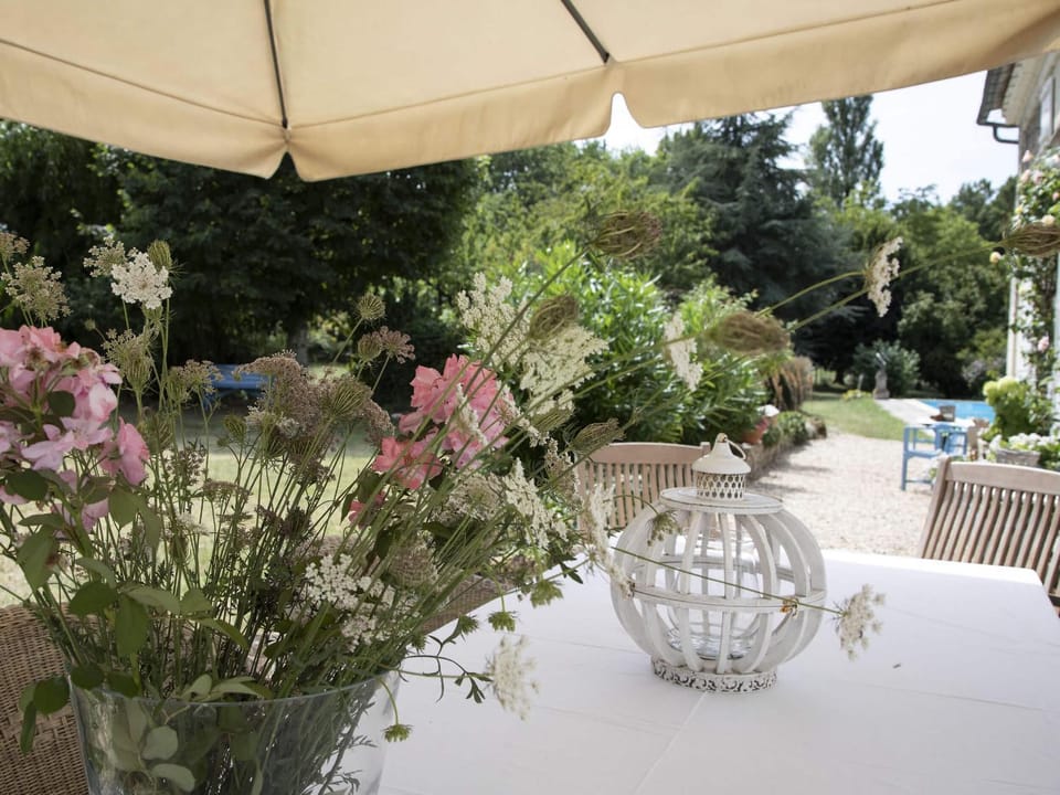 Patio, Day, Garden, Garden view