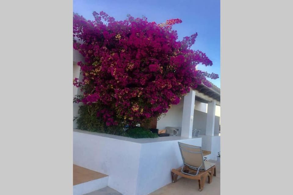 Casa Rural Es Cap de Barbaria Can Joan Guillem House in Formentera