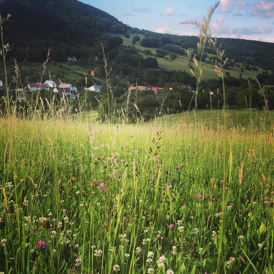 Natural landscape, Hiking