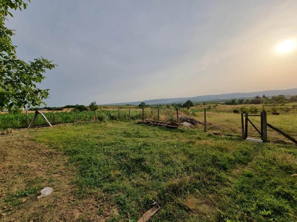 Spring, Day, Natural landscape, Garden, Sunset