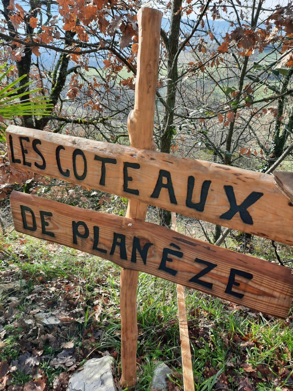 Les coteaux de Planèze, chambre pour 2, 3 ou famille nombreuse 2 adultes 5 enfants et jeunes Vacation rental in Occitanie