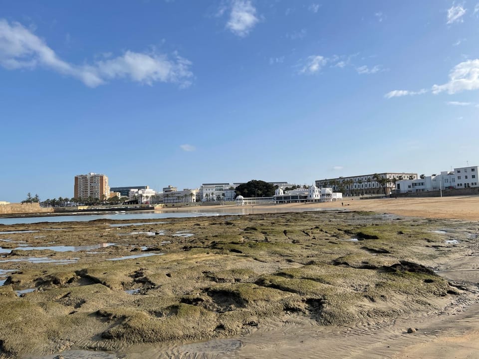 Neighbourhood, Natural landscape, Beach