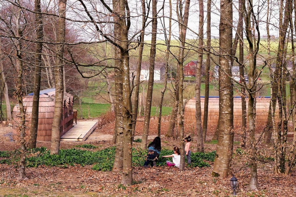 Natural landscape, Garden, Garden view