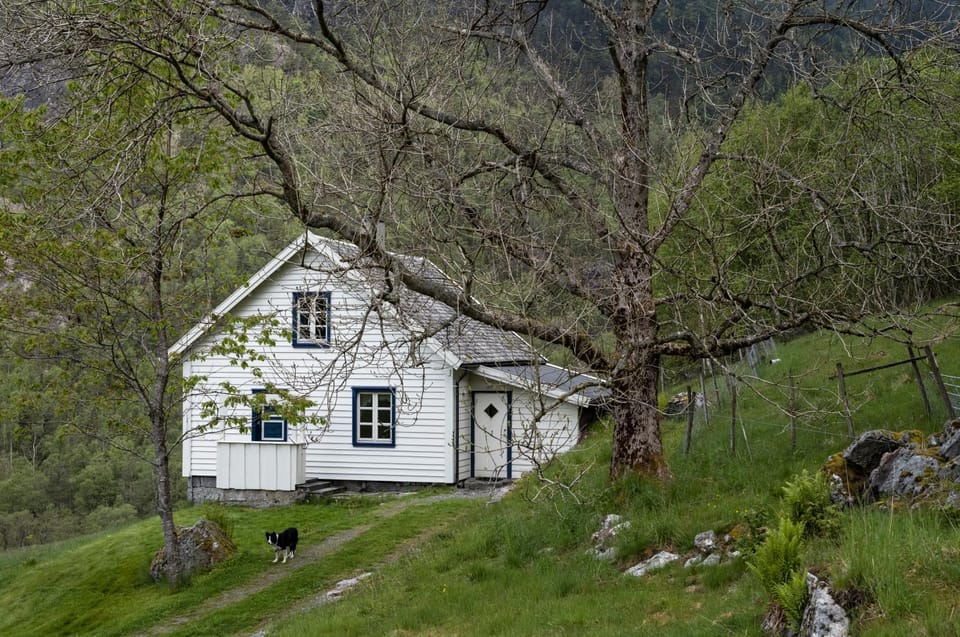 Property building, Garden