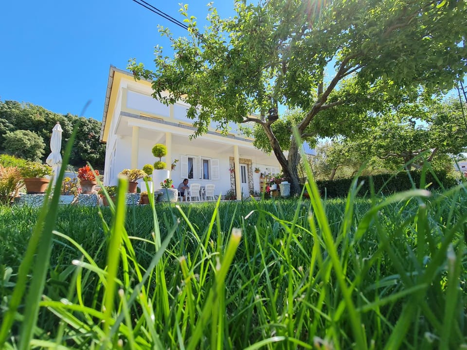 Garden view, Landmark view