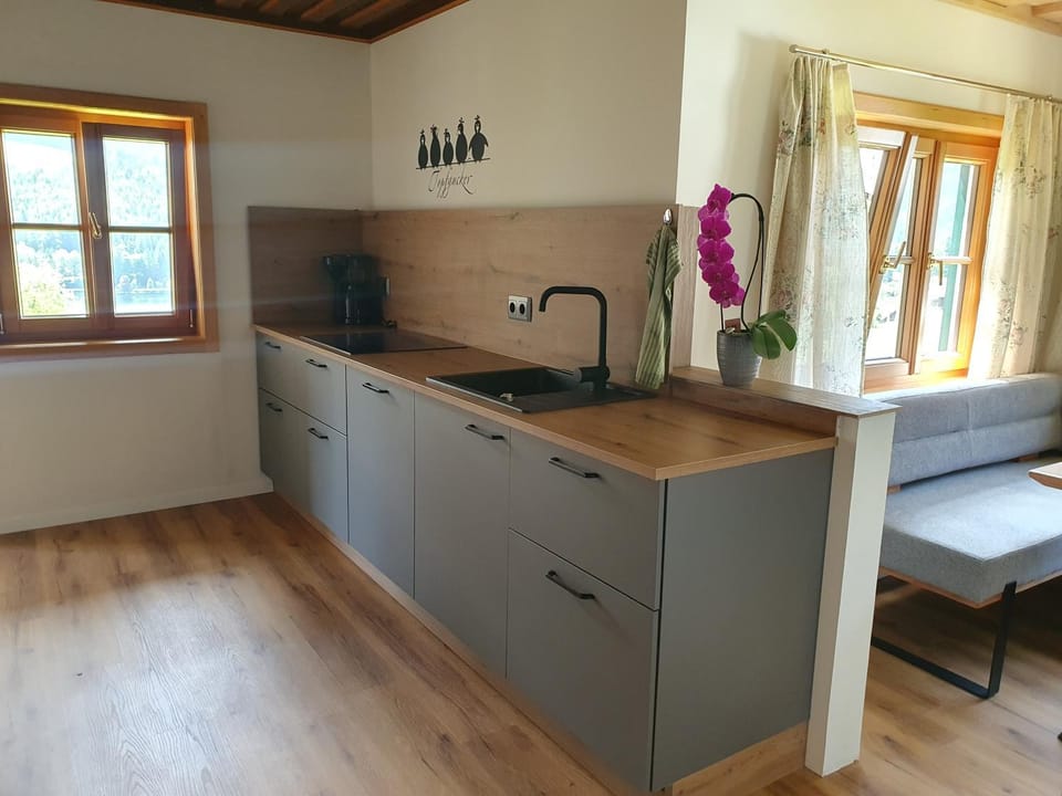 Haus Schraml Apartment in Bad Aussee