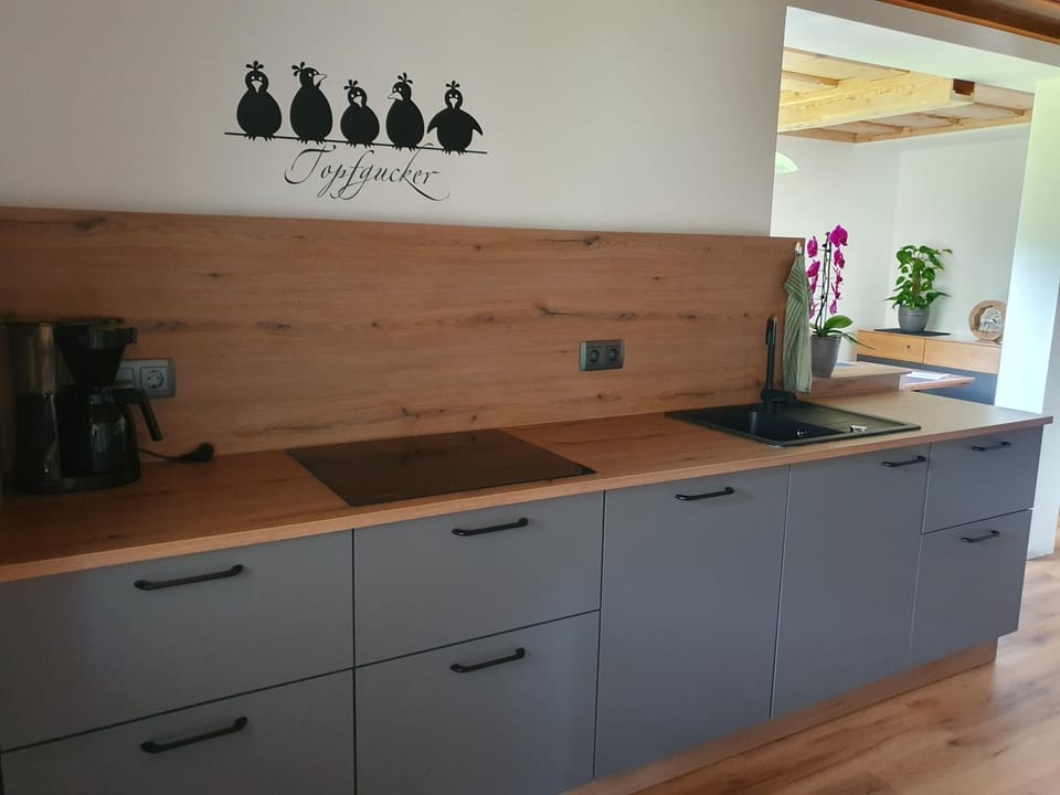 Haus Schraml Apartment in Bad Aussee