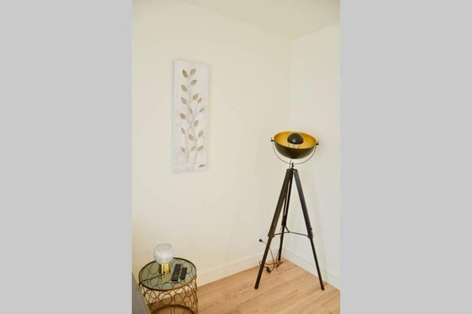 Dolmen Adrien 1 Apartment in Tours