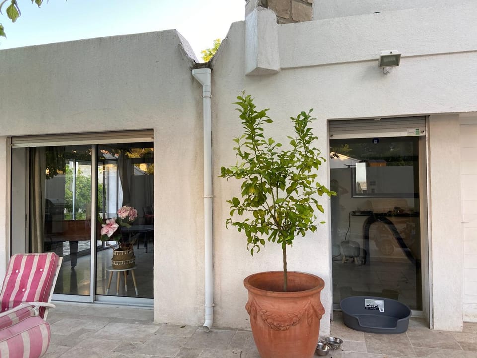Patio, Facade/entrance